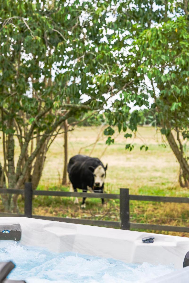 Catley Lodge B&B Farmstay Te Horo Экстерьер фото
